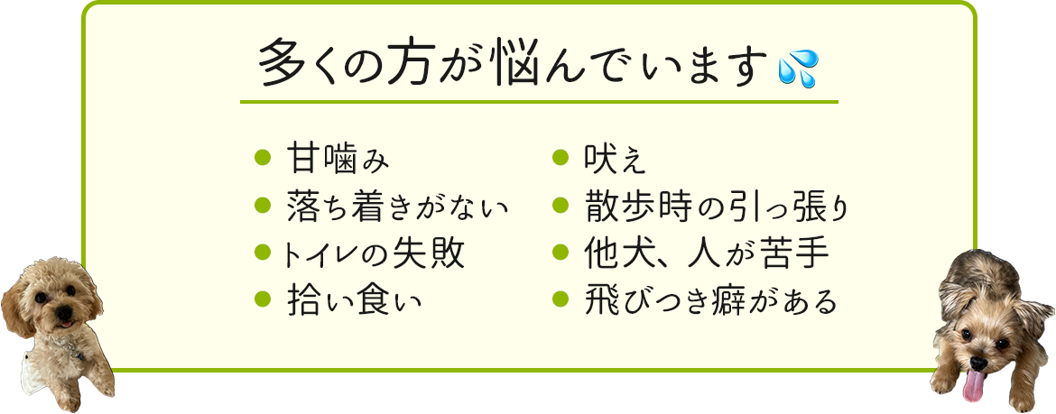 多くの方が悩んでいます